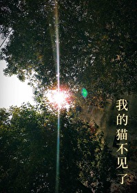 我的貓不見了