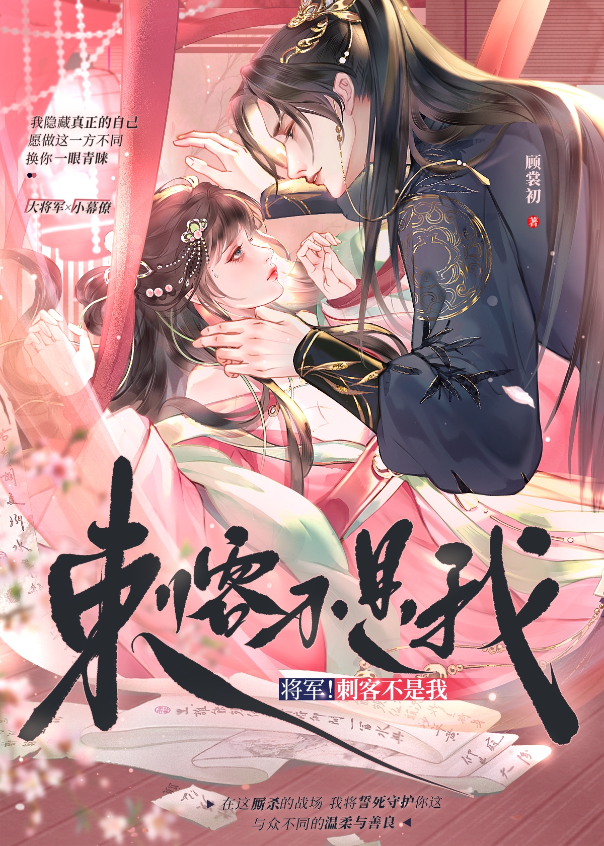 將軍！刺客不是我