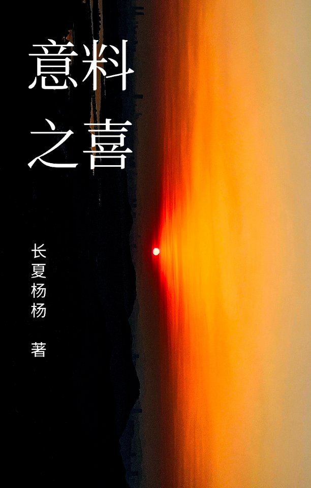 意料之喜